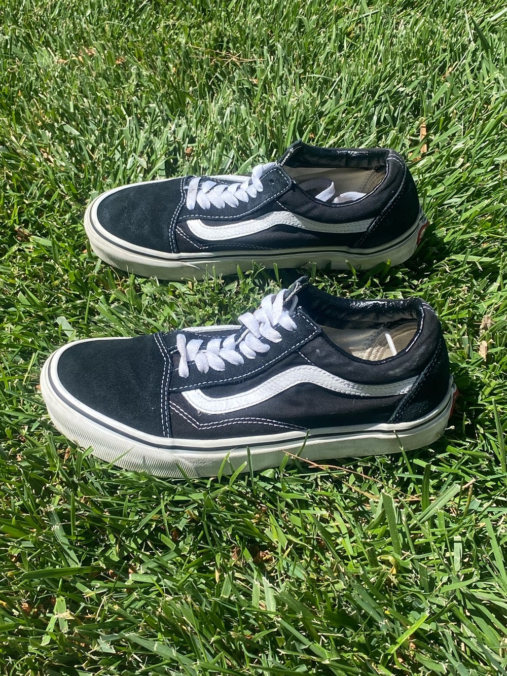 Vans Black and White Low-Top Skate Sneakers